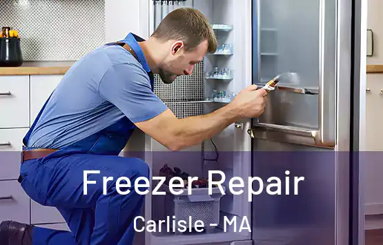  Freezer Repair Carlisle - MA