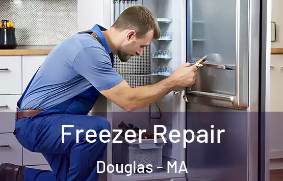  Freezer Repair Douglas - MA