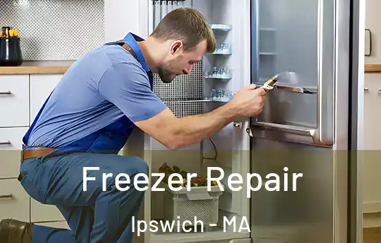  Freezer Repair Ipswich - MA