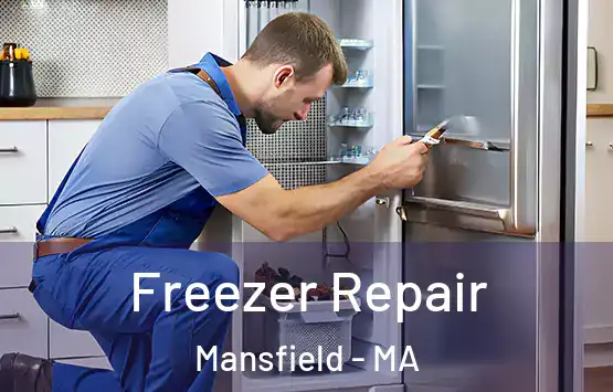  Freezer Repair Mansfield - MA
