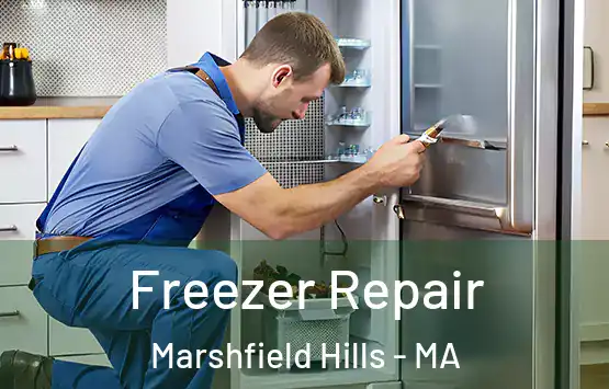  Freezer Repair Marshfield Hills - MA