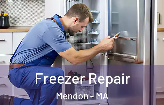  Freezer Repair Mendon - MA