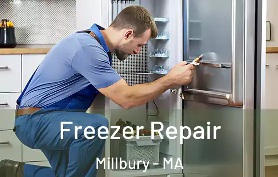  Freezer Repair Millbury - MA