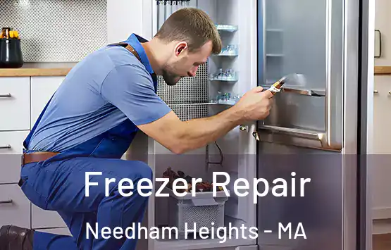  Freezer Repair Needham Heights - MA