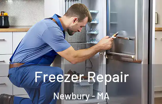  Freezer Repair Newbury - MA