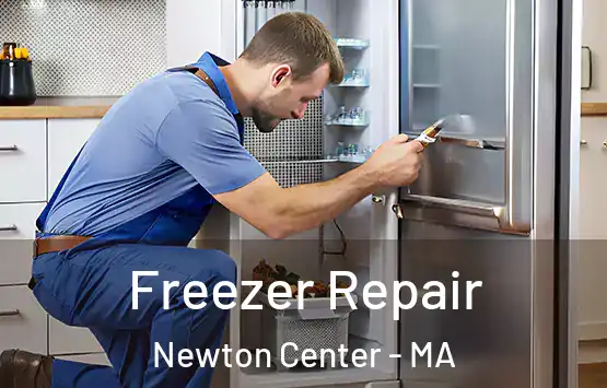  Freezer Repair Newton Center - MA