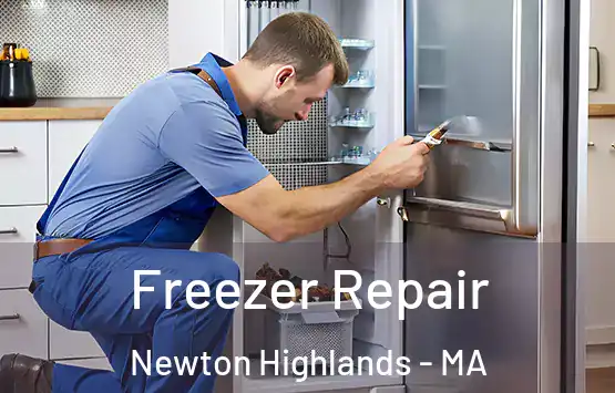  Freezer Repair Newton Highlands - MA