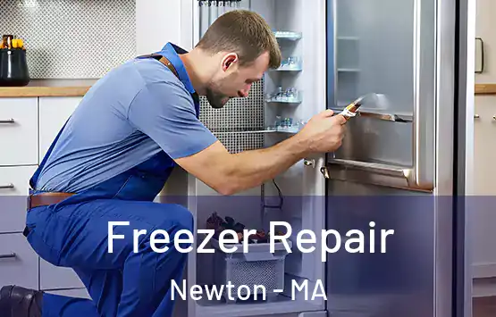  Freezer Repair Newton - MA