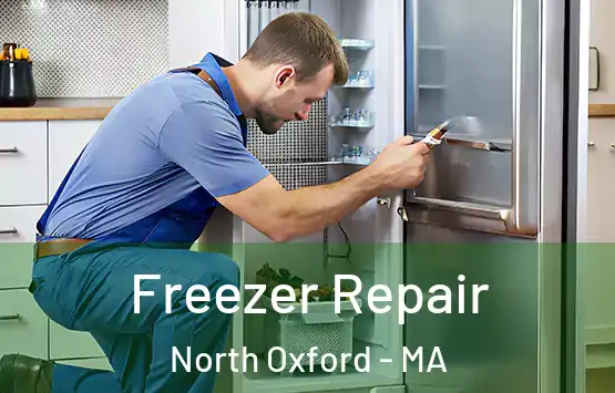  Freezer Repair North Oxford - MA