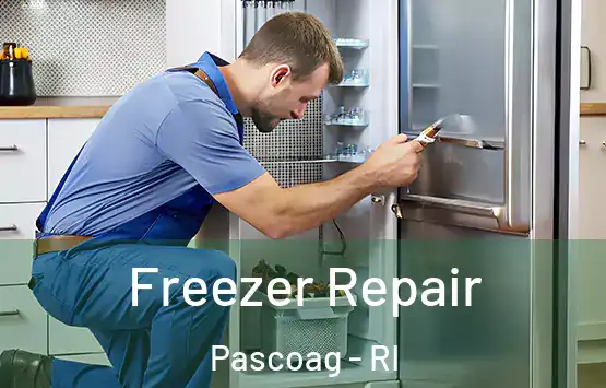  Freezer Repair Pascoag - RI