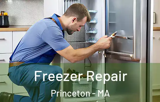  Freezer Repair Princeton - MA