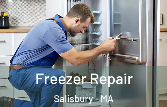  Freezer Repair Salisbury - MA