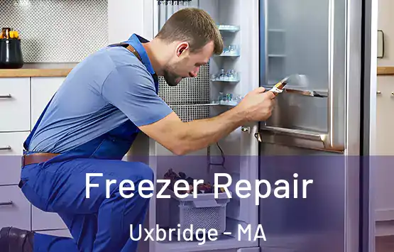  Freezer Repair Uxbridge - MA