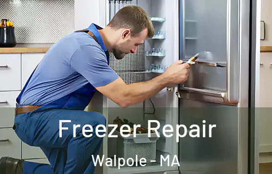  Freezer Repair Walpole - MA