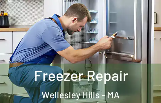  Freezer Repair Wellesley Hills - MA