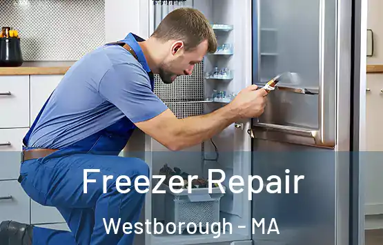  Freezer Repair Westborough - MA