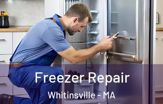  Freezer Repair Whitinsville - MA