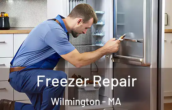  Freezer Repair Wilmington - MA