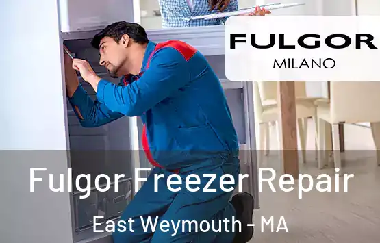  Fulgor Freezer Repair East Weymouth - MA