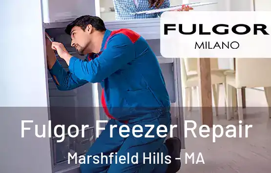  Fulgor Freezer Repair Marshfield Hills - MA
