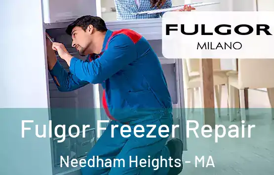  Fulgor Freezer Repair Needham Heights - MA