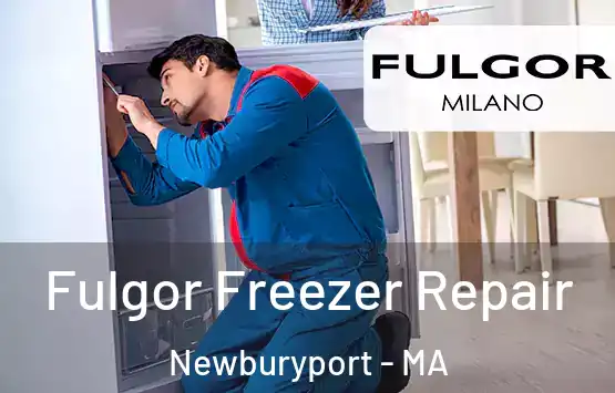  Fulgor Freezer Repair Newburyport - MA