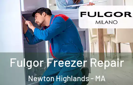  Fulgor Freezer Repair Newton Highlands - MA