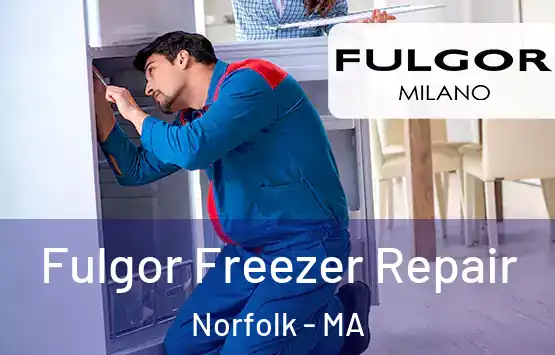  Fulgor Freezer Repair Norfolk - MA