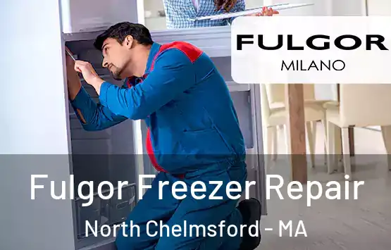  Fulgor Freezer Repair North Chelmsford - MA
