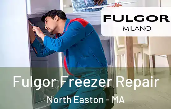  Fulgor Freezer Repair North Easton - MA
