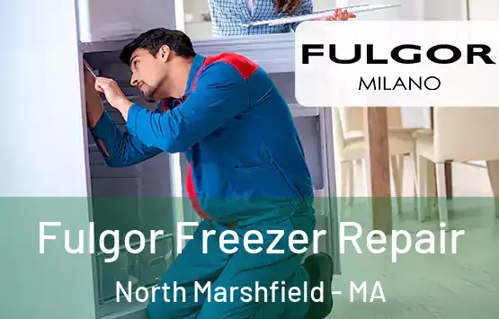  Fulgor Freezer Repair North Marshfield - MA