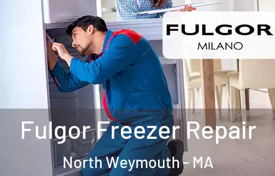 Fulgor Freezer Repair North Weymouth - MA