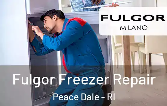  Fulgor Freezer Repair Peace Dale - RI