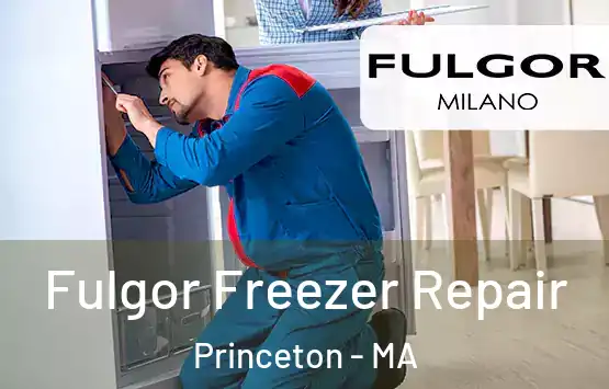  Fulgor Freezer Repair Princeton - MA