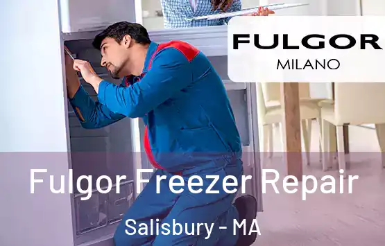  Fulgor Freezer Repair Salisbury - MA