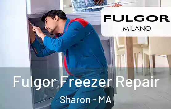  Fulgor Freezer Repair Sharon - MA