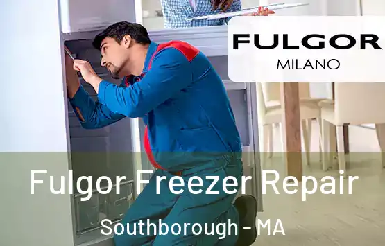  Fulgor Freezer Repair Southborough - MA