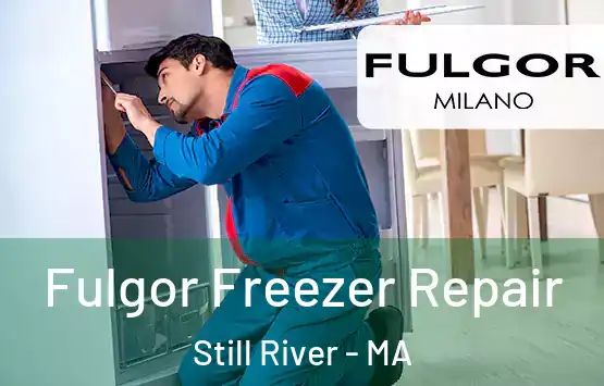  Fulgor Freezer Repair Still River - MA