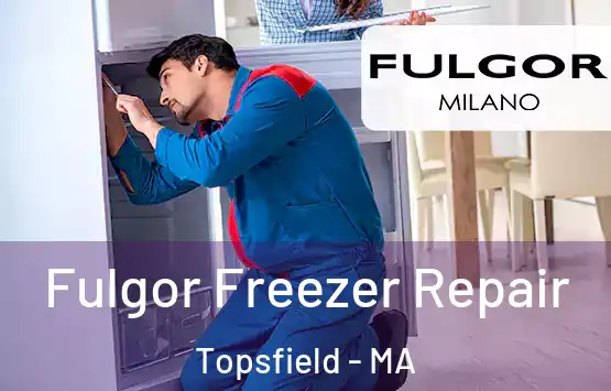  Fulgor Freezer Repair Topsfield - MA