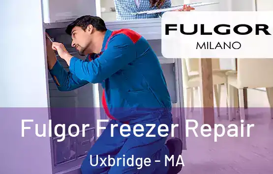  Fulgor Freezer Repair Uxbridge - MA