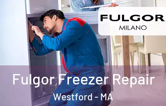  Fulgor Freezer Repair Westford - MA