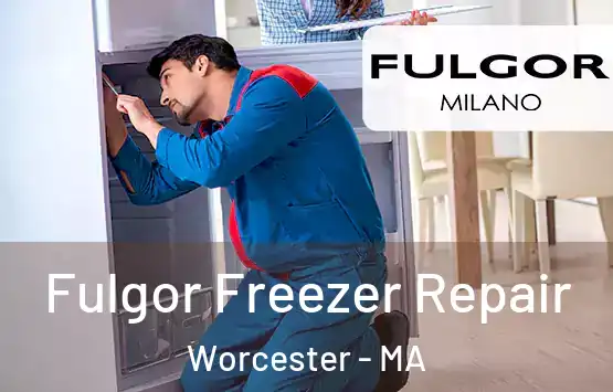  Fulgor Freezer Repair Worcester - MA