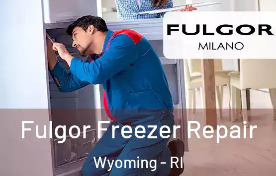  Fulgor Freezer Repair Wyoming - RI