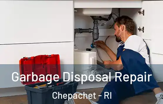 Garbage Disposal Repair Chepachet - RI
