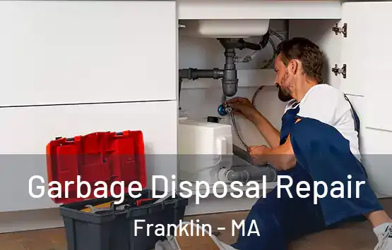  Garbage Disposal Repair Franklin - MA