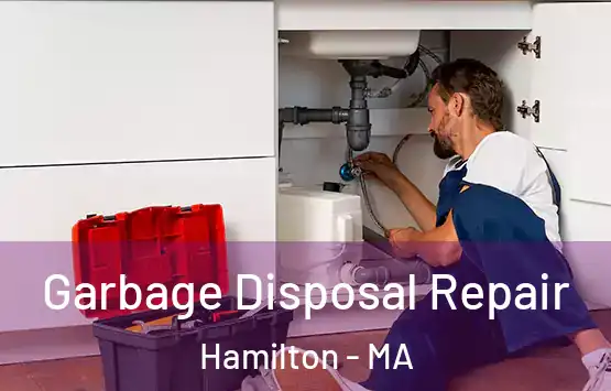  Garbage Disposal Repair Hamilton - MA