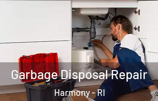  Garbage Disposal Repair Harmony - RI