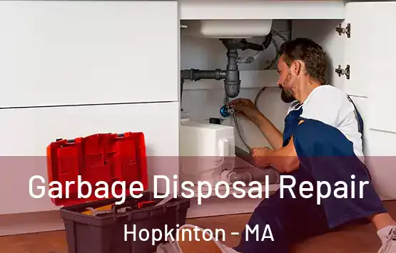  Garbage Disposal Repair Hopkinton - MA