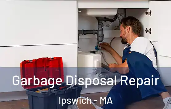 Garbage Disposal Repair Ipswich - MA