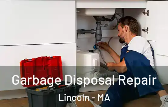  Garbage Disposal Repair Lincoln - MA